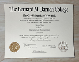 Bernard M Baruch College degree