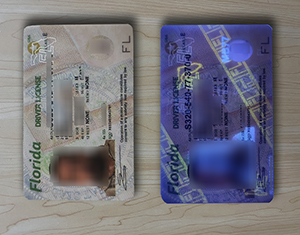 Florida Driver License A