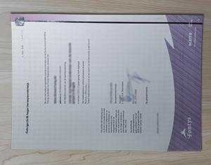 Fontys University of Applied Sciences diploma