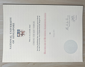 National University of Singapore diploma