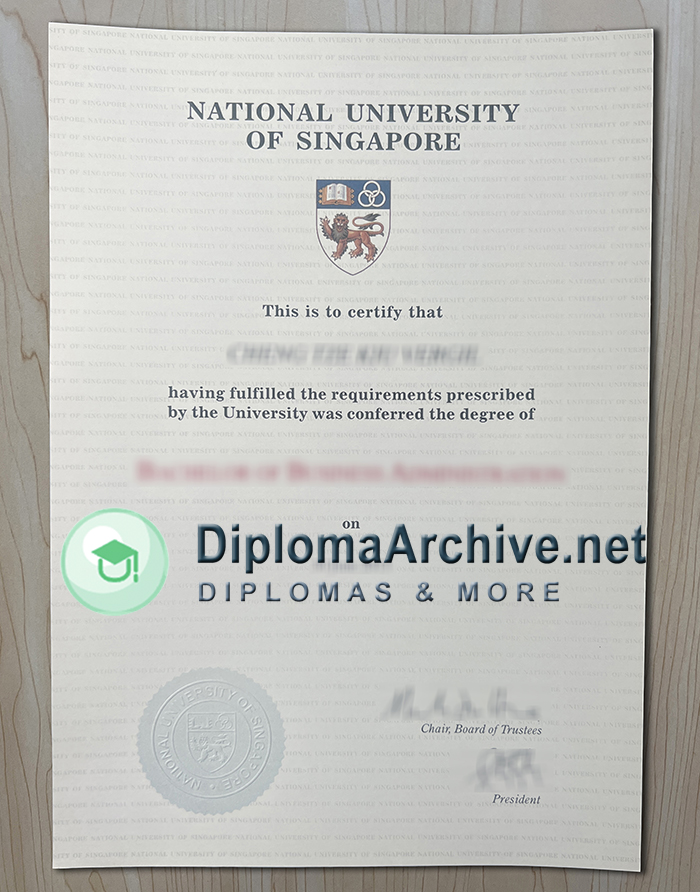 National University of Singapore diploma