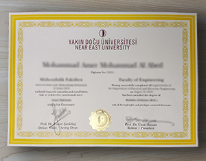 Near East University diploma