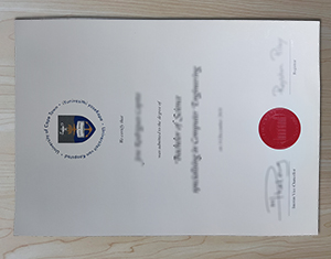 University of Cape Town diploma