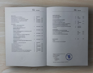 University of Stuttgart transcript