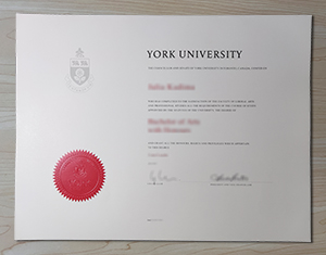 York University diploma