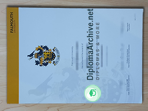 Falmouth University degree