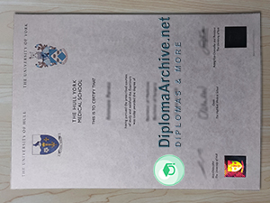 Hull York Medical School degree
