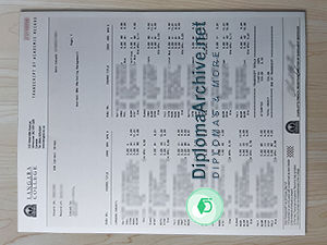 Langara College transcript