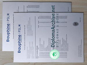 Paris Dauphine University transcript