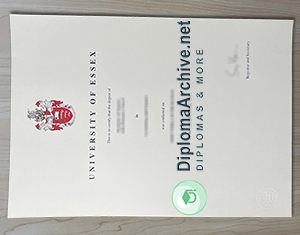 University of Essex diploma