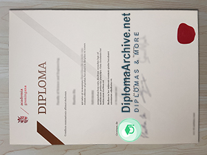 University of Groningen diploma