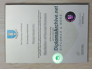 University of Sheffield diploma