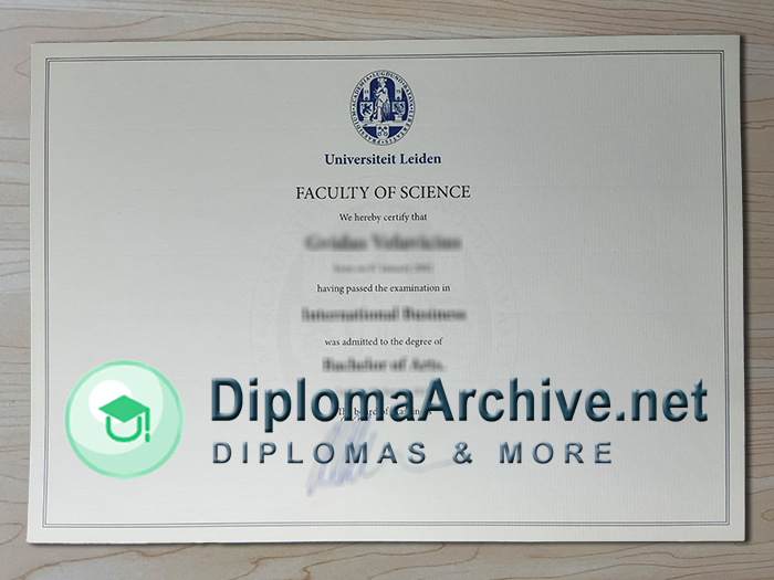 Leiden University diploma