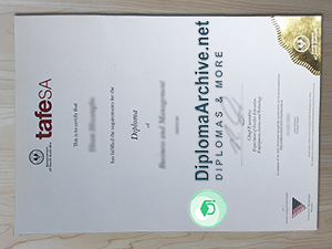 TAFE South Australia diploma