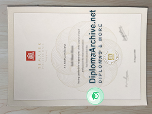 Temasek Polytechnic diploma