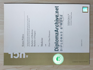 University College London diploma