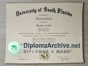 University of South Florida degree