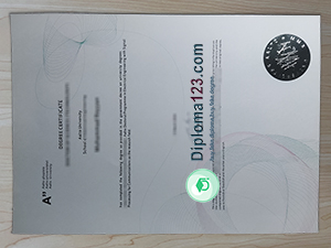 Aalto University diploma