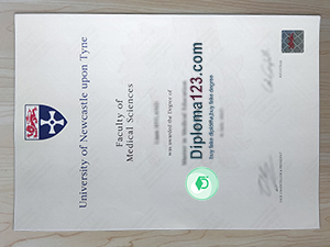 Newcastle University degree