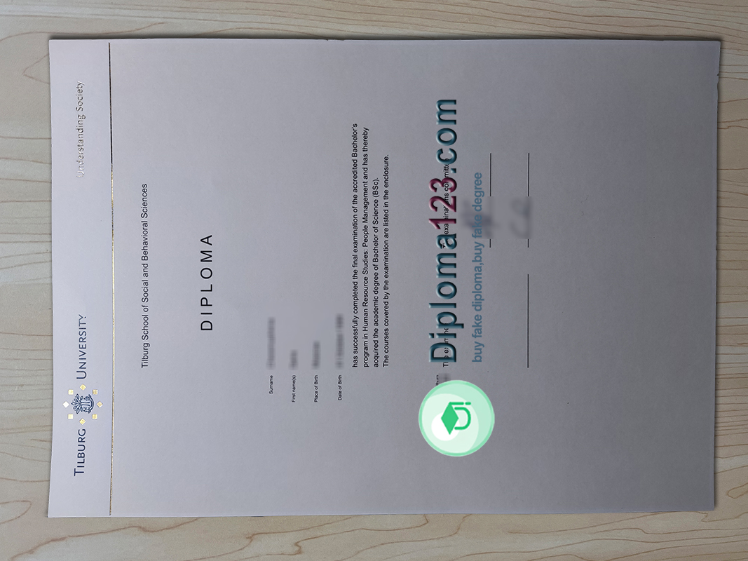 Tilburg University diploma