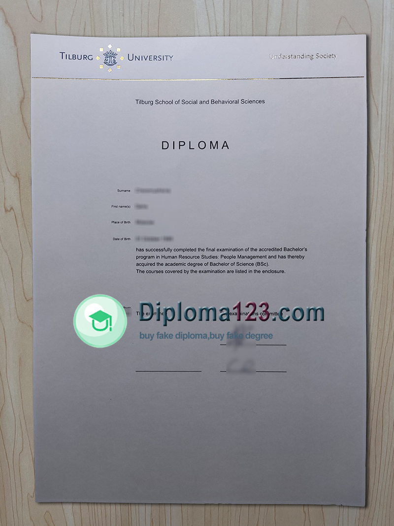 Tilburg University diploma